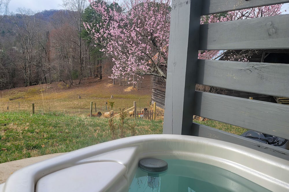 Photo of Bathroom in Arden