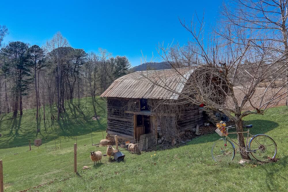 Photo of Outdoor in Arden