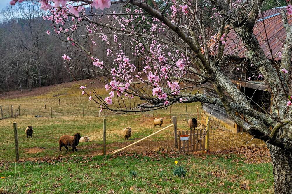 Photo of Outdoor in Arden