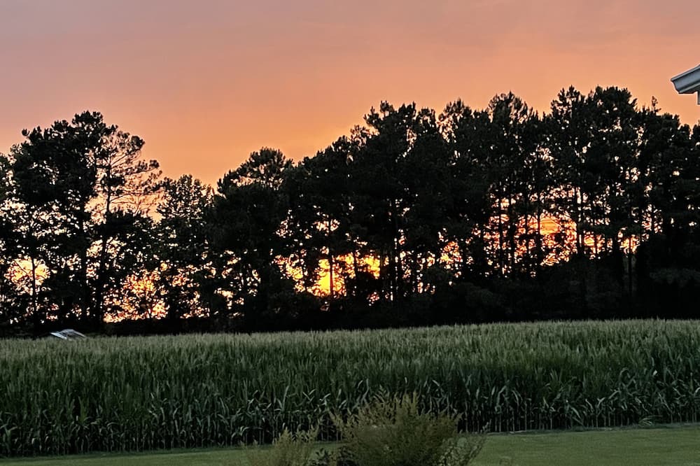 Photo of Outdoor in Albertson