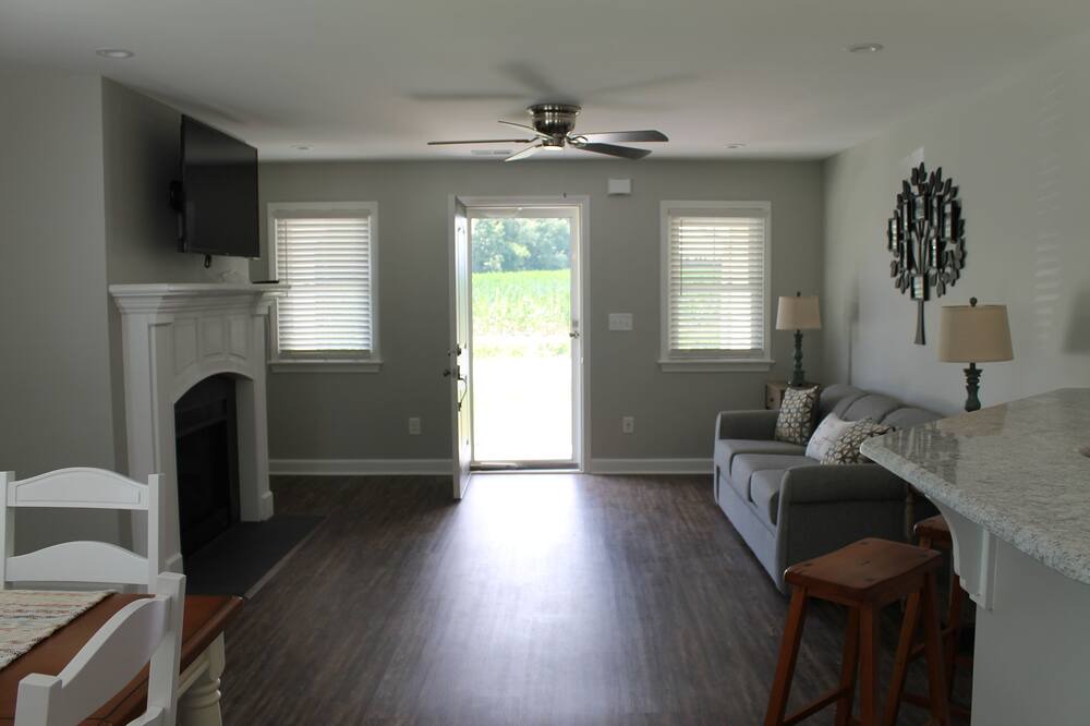 Photo of Livingroom in Albertson