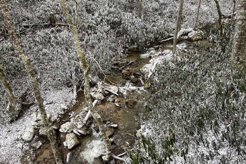 Photo of Others in Sugar Mountain