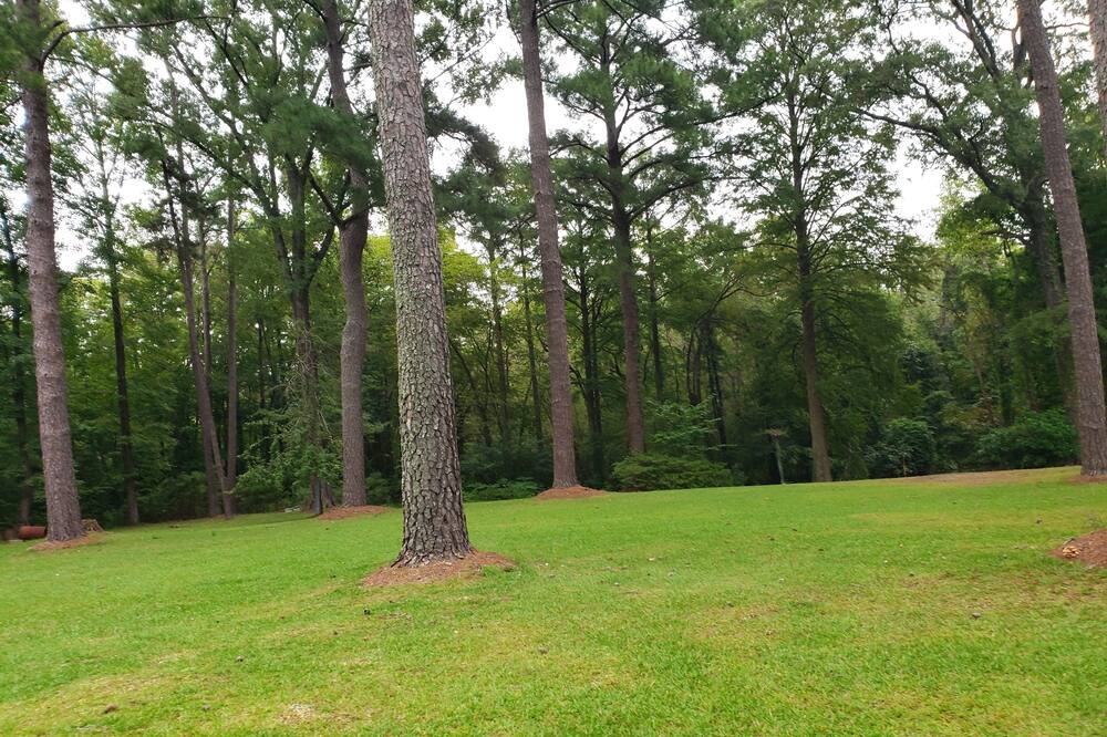 Photo of Outdoor in Plymouth