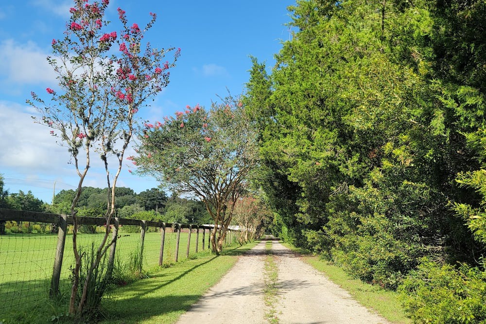 Photo of Outdoor in Beaufort