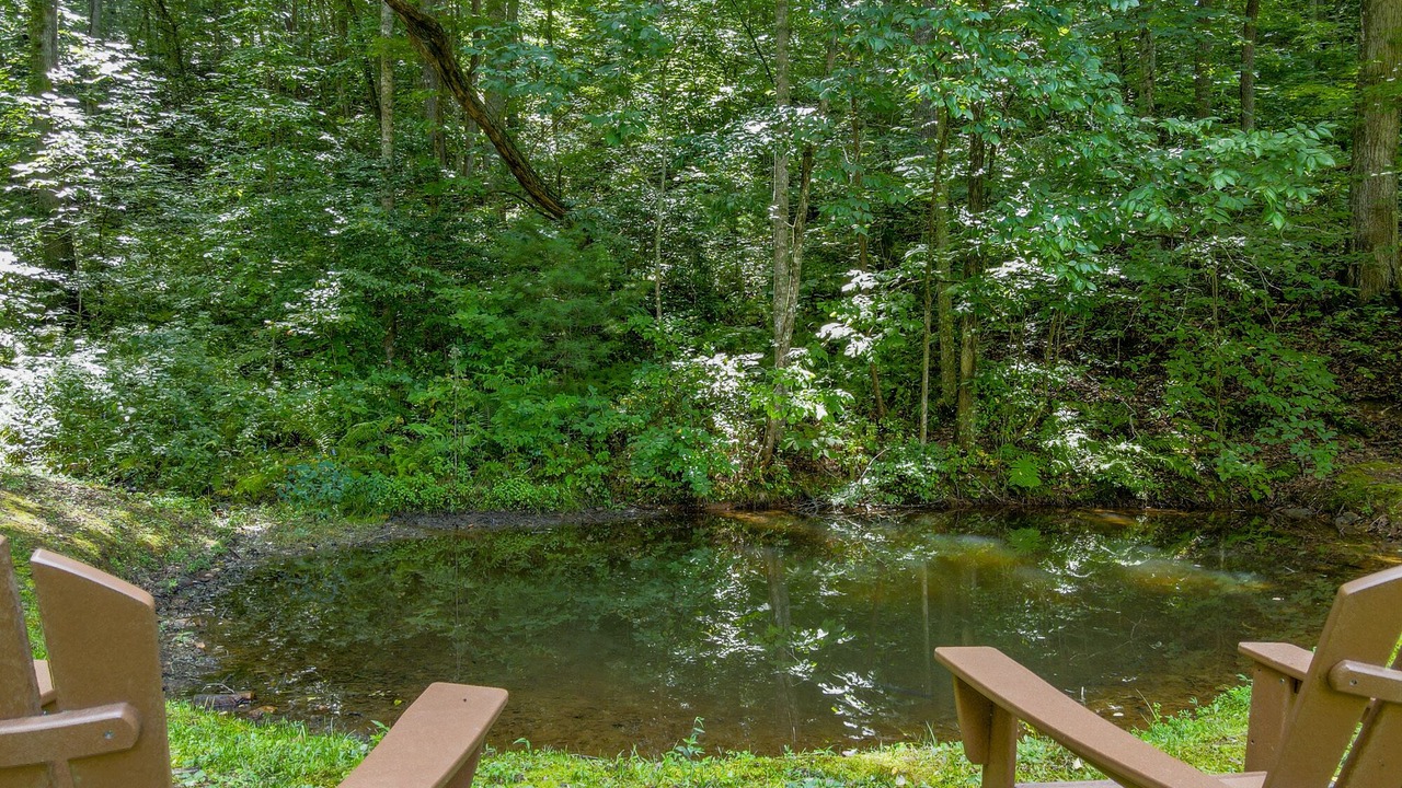 Photo of Outdoor in Franklin