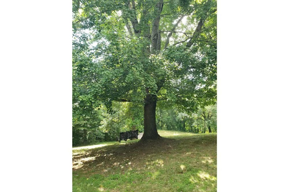 Photo of Outdoor in Qualla