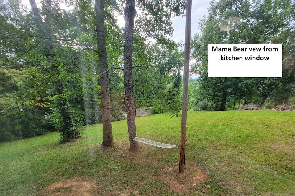 Photo of Others in Qualla