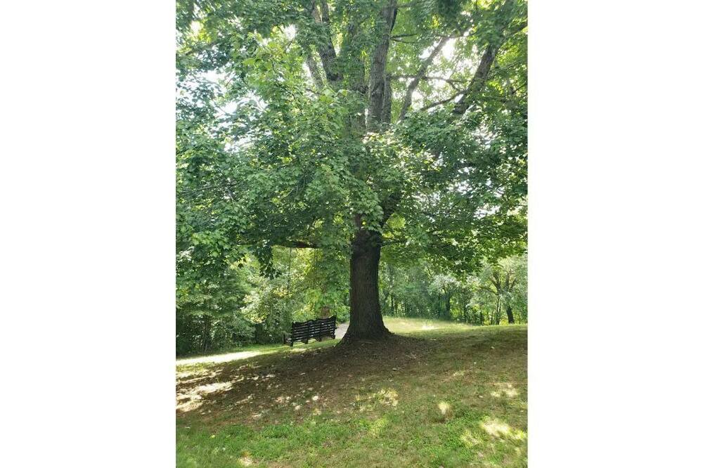 Photo of Outdoor in Qualla