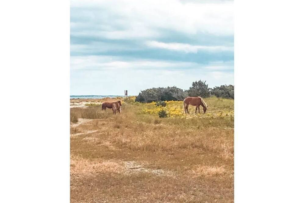 Photo of Others in Core Creek