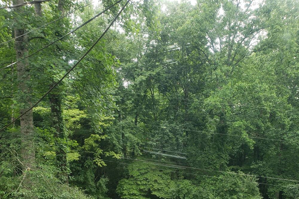 Photo of Outdoor in Qualla