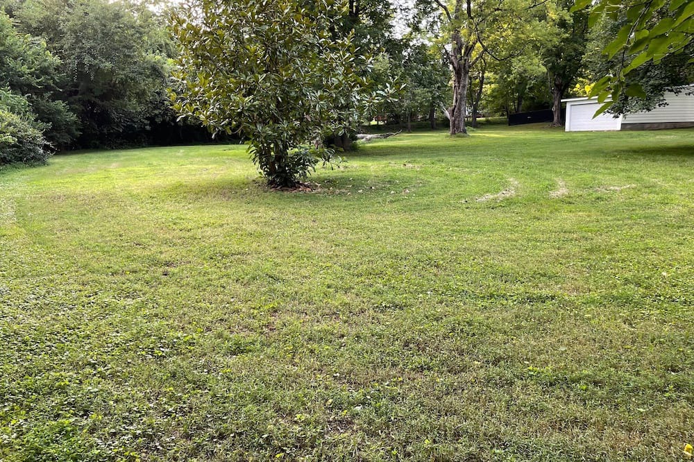 Photo of Others in Reidsville