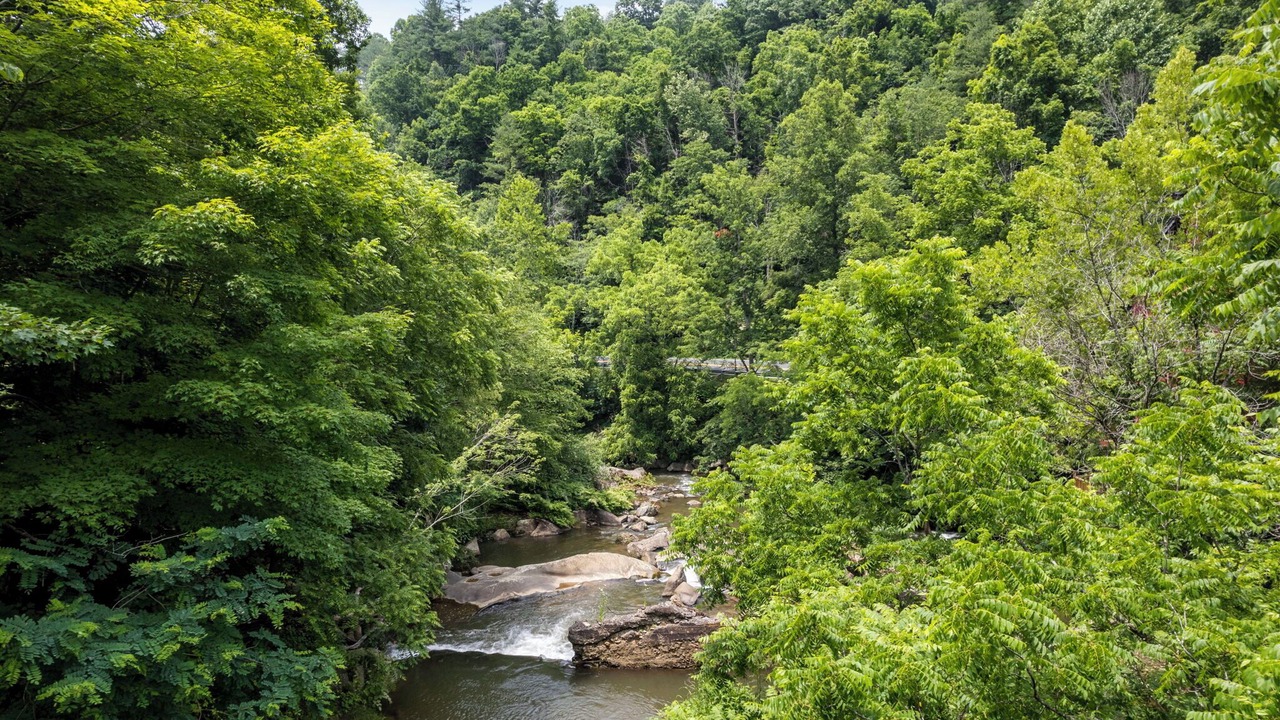 Photo of Others in Bakersville
