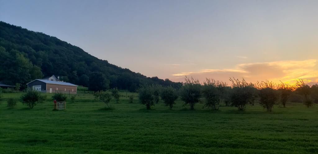 Photo of Outdoor in Arlington