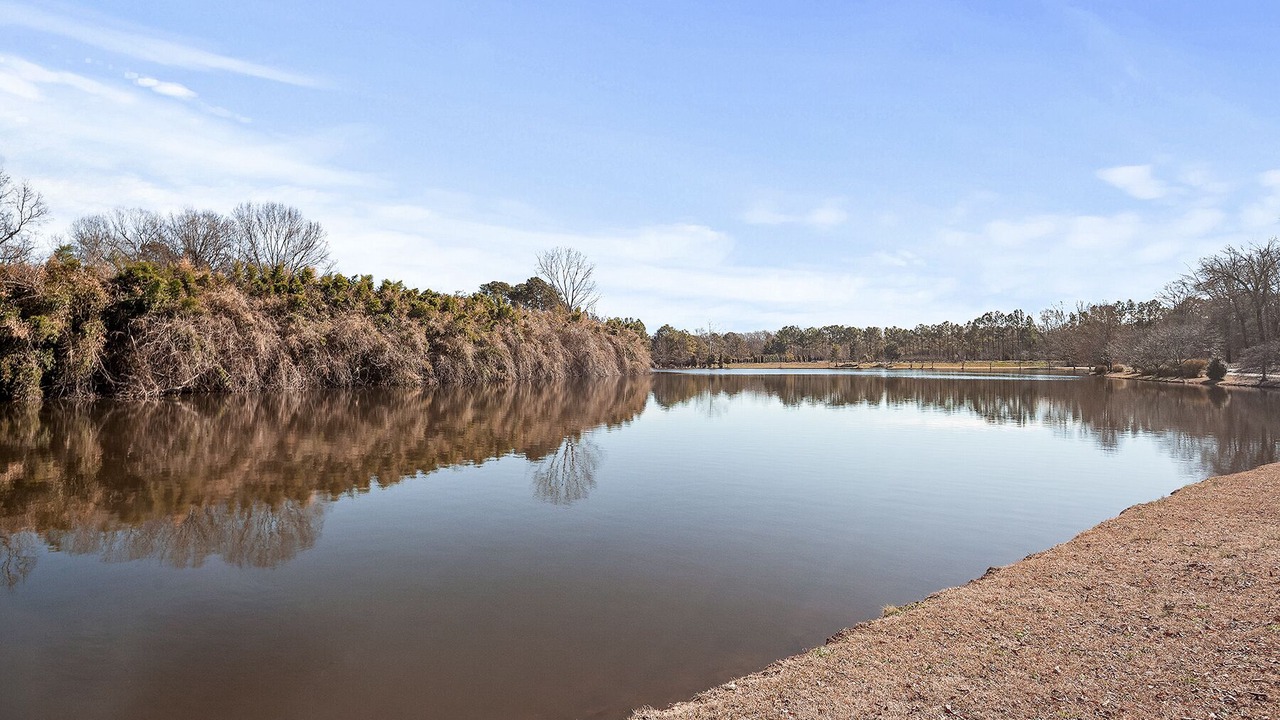Photo of Outdoor in Steele Creek