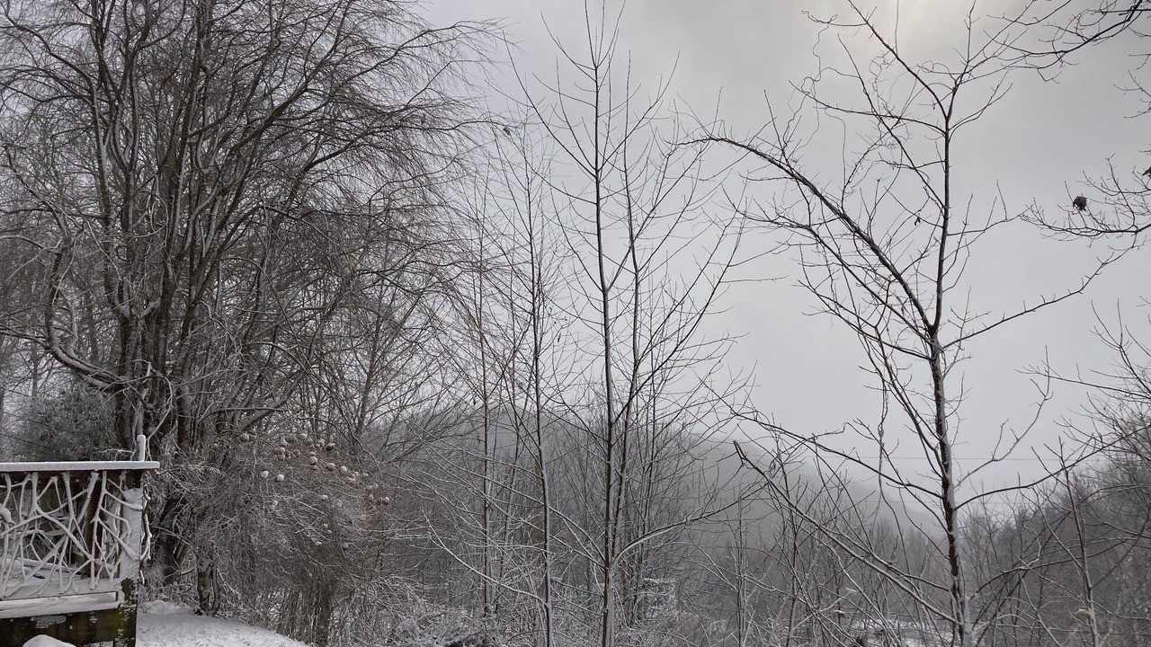 Photo of Outdoor in Boone