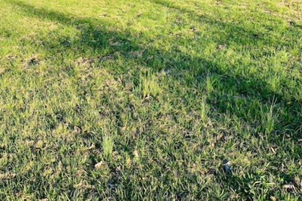 Photo of Outdoor in Newton