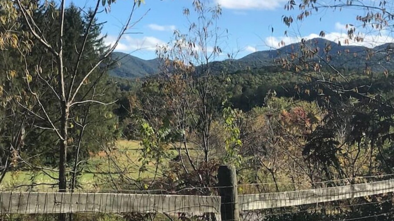 Photo of Outdoor in Candler