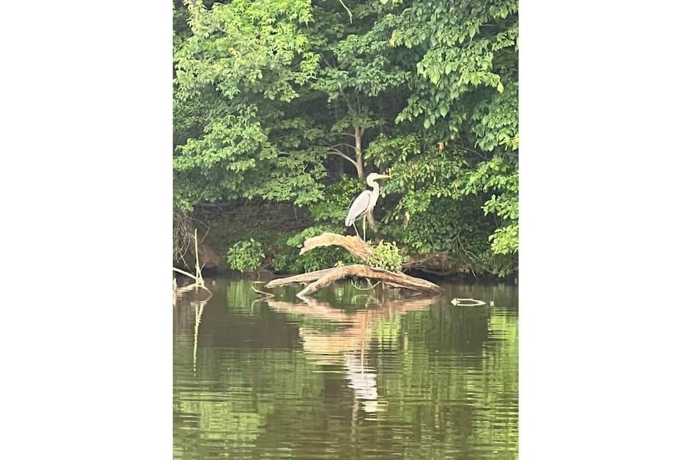 Photo of Others in Albemarle