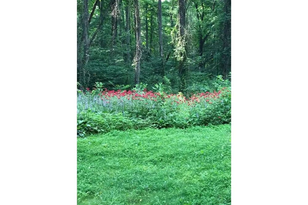 Photo of Outdoor in Weaverville