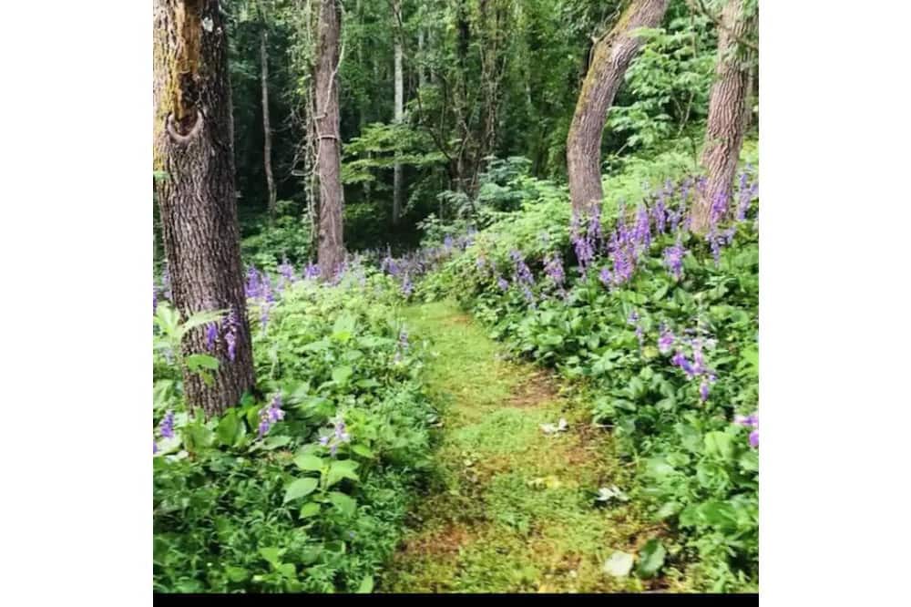 Photo of Outdoor in Weaverville