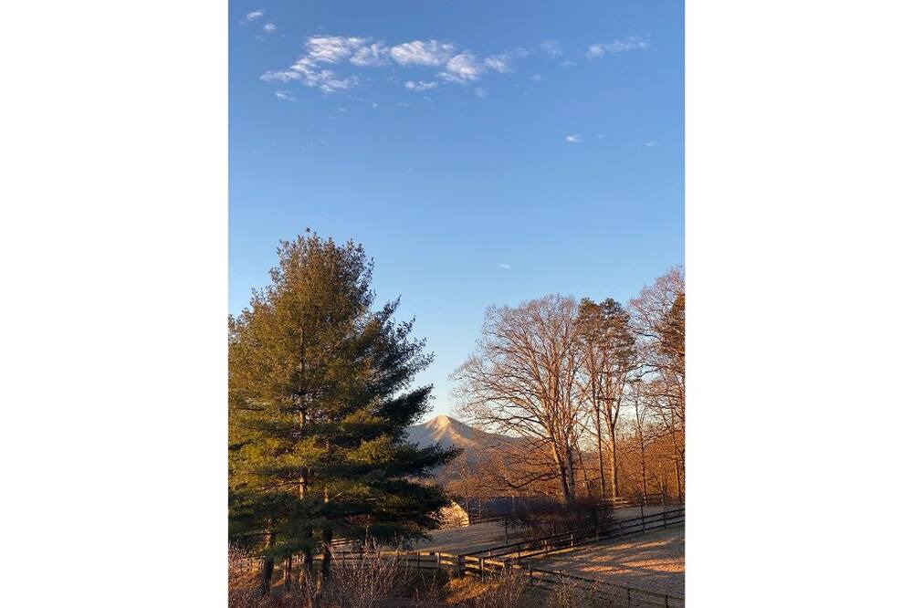 Photo of Outdoor in Candler