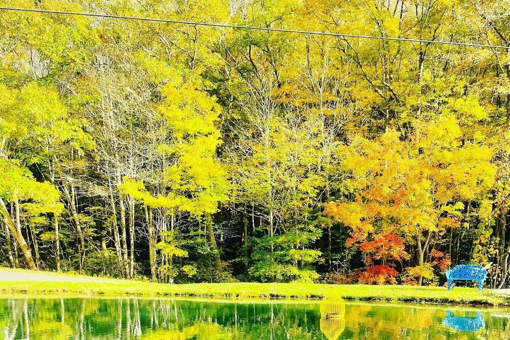 Photo of Outdoor in Todd