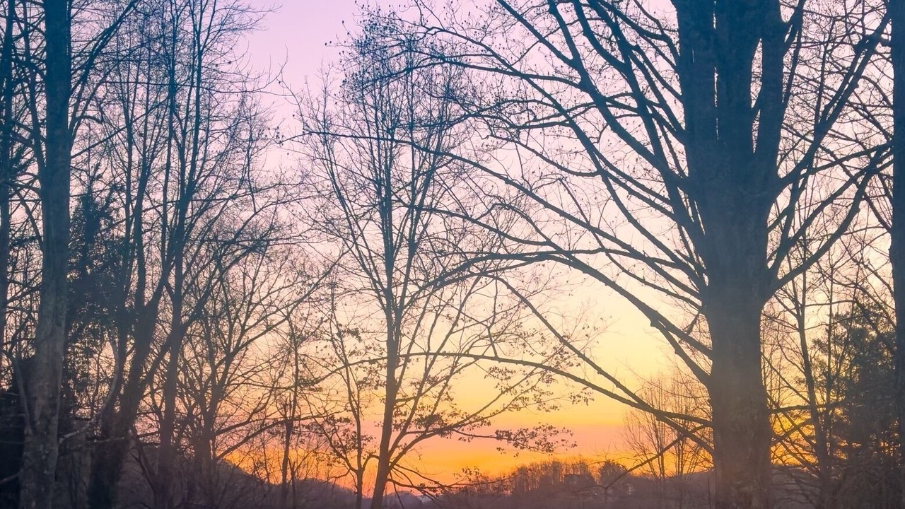 Photo of Outdoor in Scaly Mountain