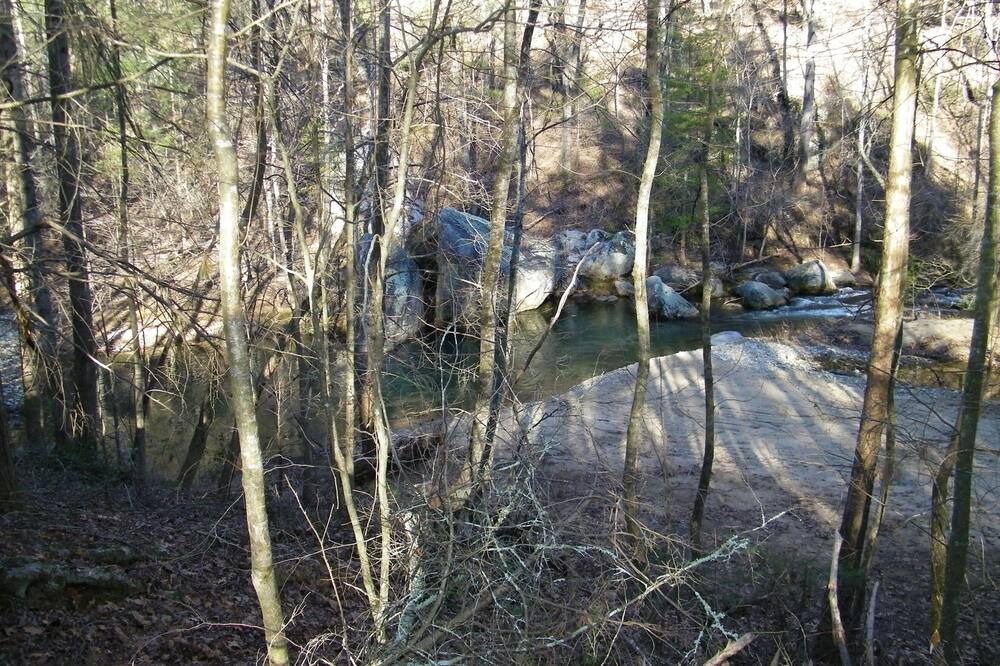 Photo of Others in Morganton