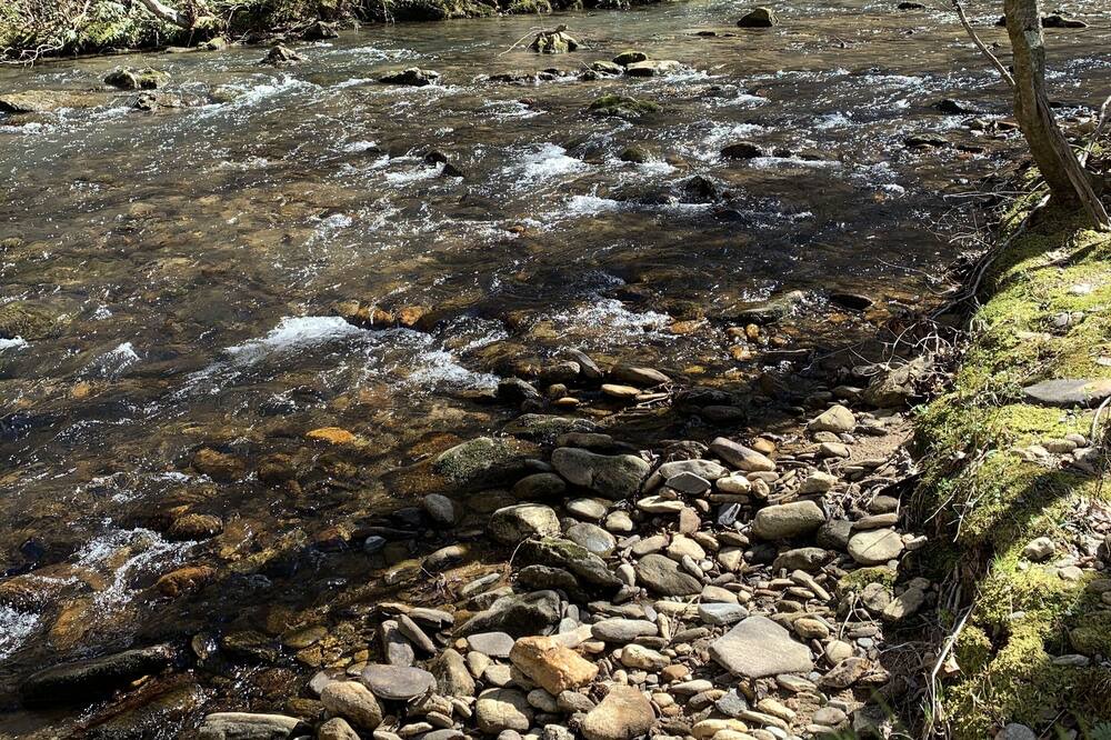 Photo of Others in Morganton