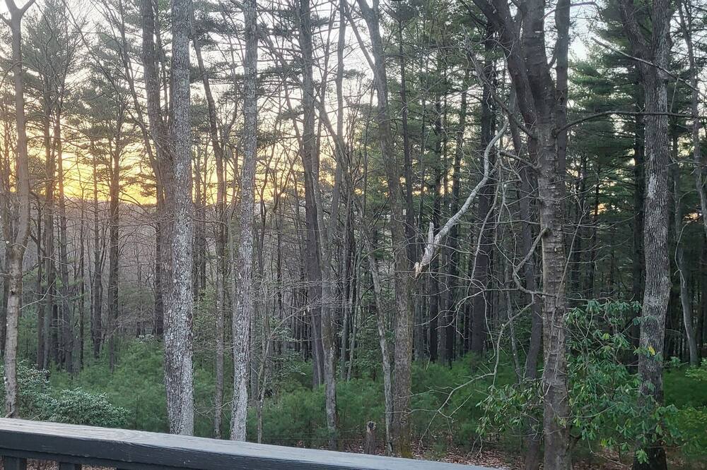 Photo of Outdoor in Roaring Gap