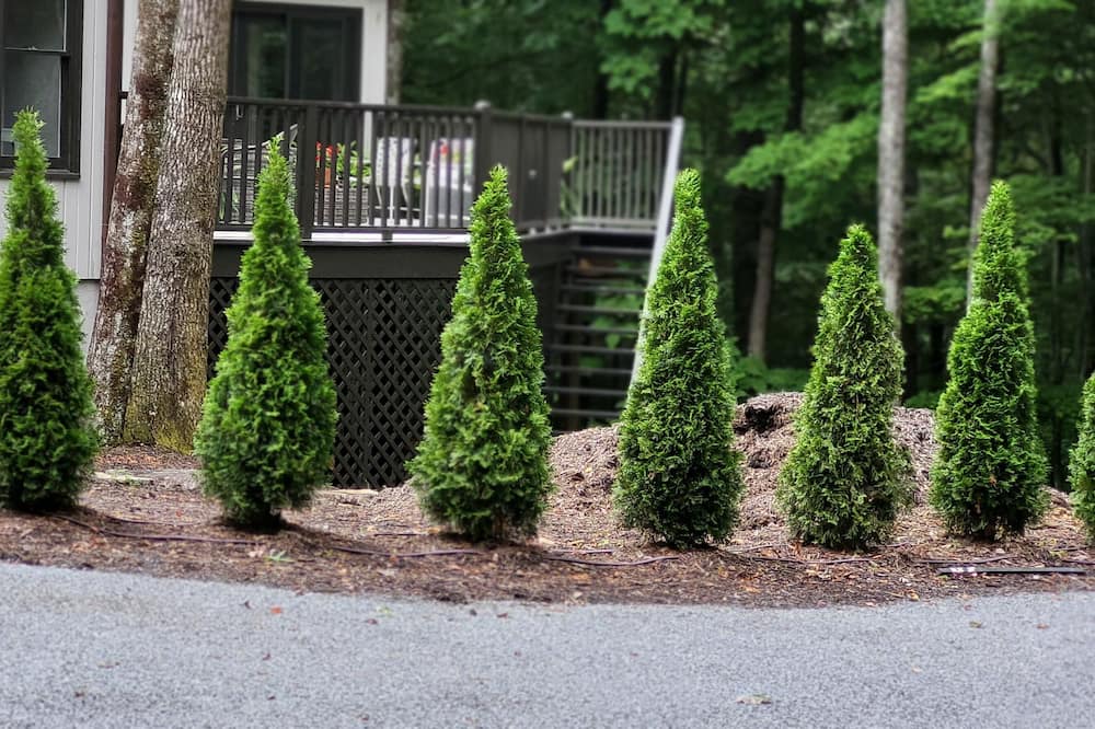 Photo of Outdoor in Roaring Gap