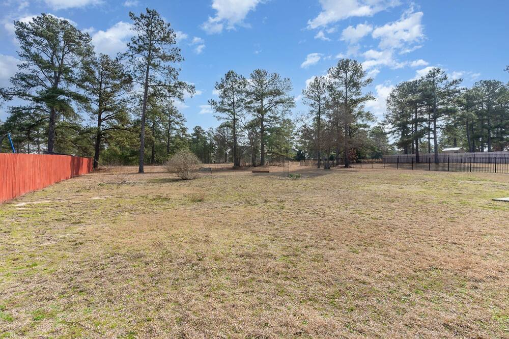 Photo of Outdoor in Olivia