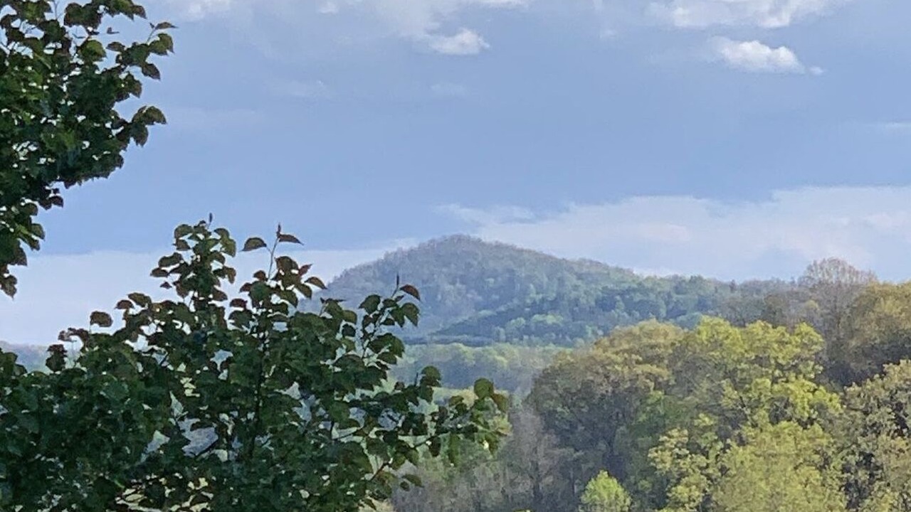 Photo of Others in Piney Creek