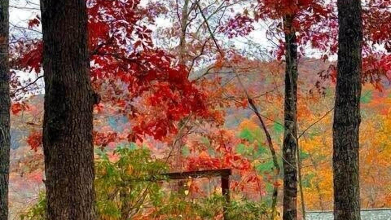 Photo of Outdoor in Franklin