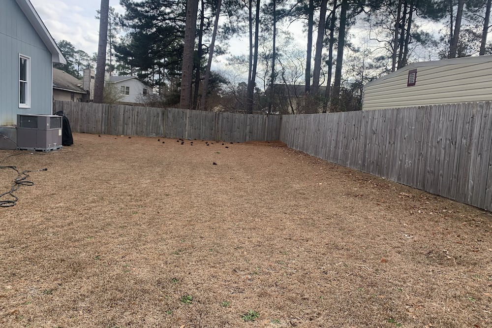 Photo of Outdoor in Fayetteville