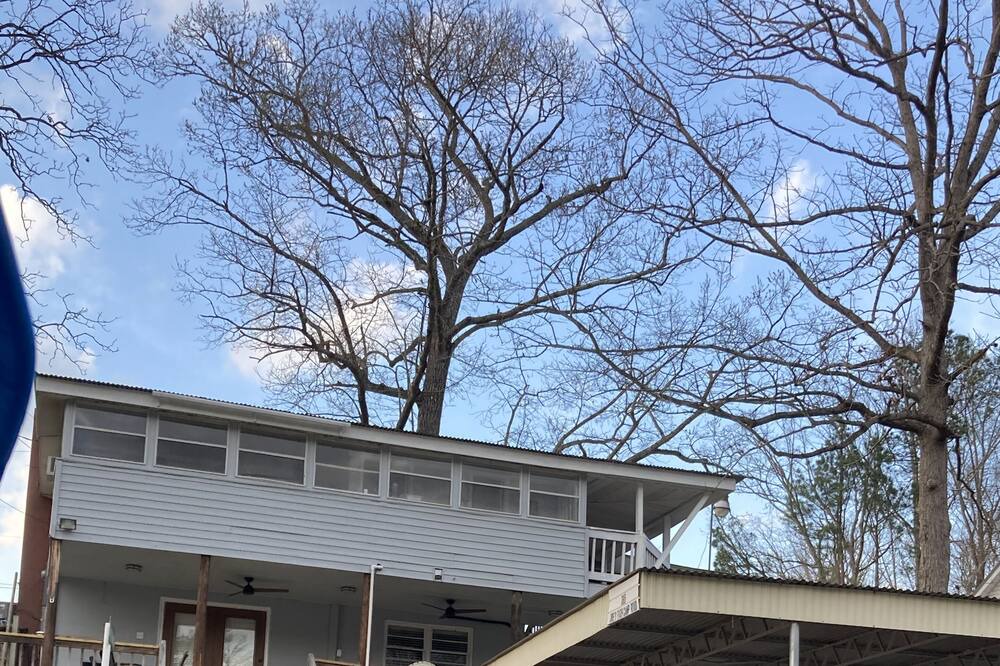 Photo of Others in Titus