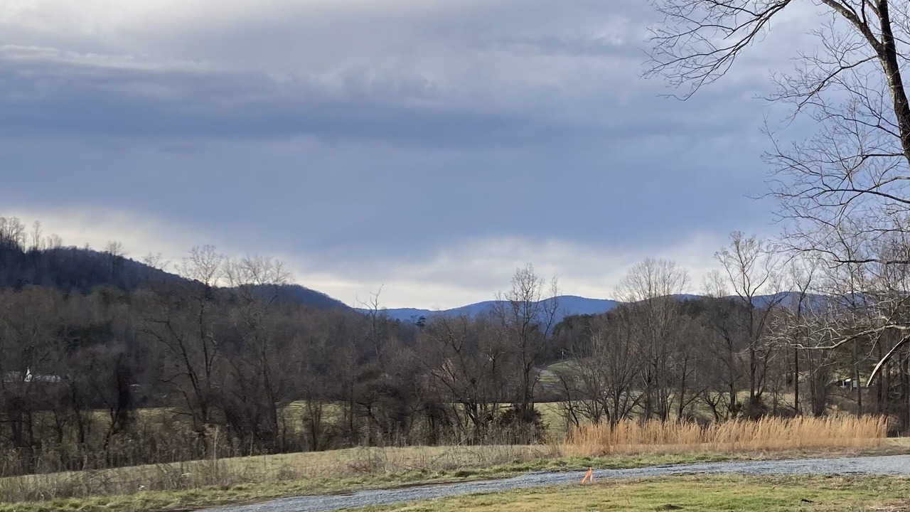 Photo of Others in Traphill