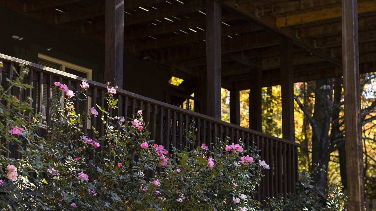 Photo of Outdoor in Chimney Rock