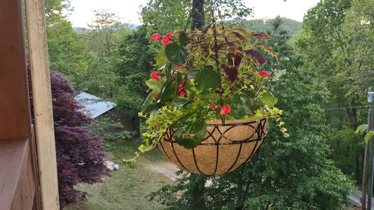 Photo of Outdoor in Glenville