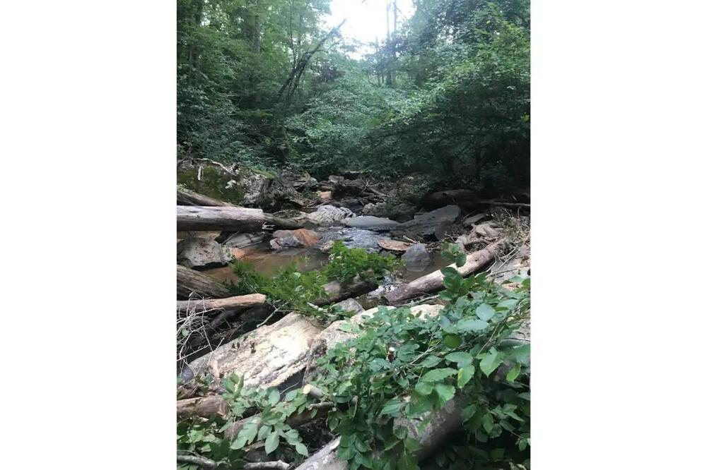 Photo of Others in Arlington