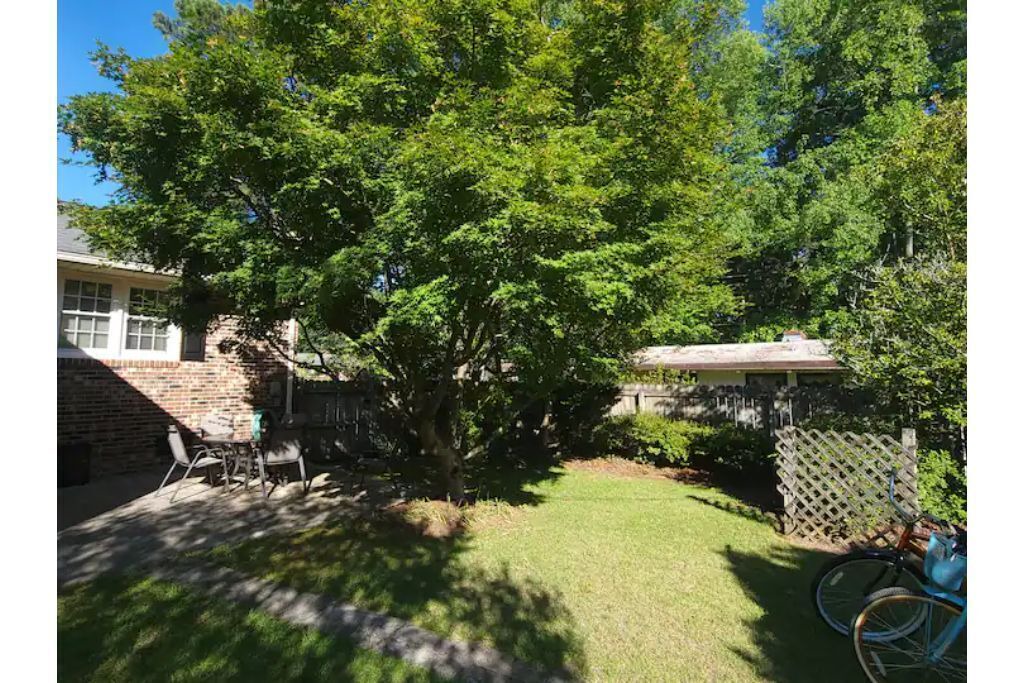 Photo of Outdoor in Williamston