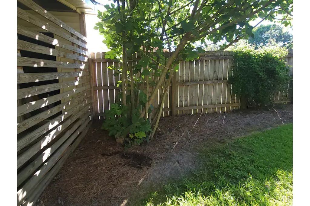 Photo of Outdoor in Williamston