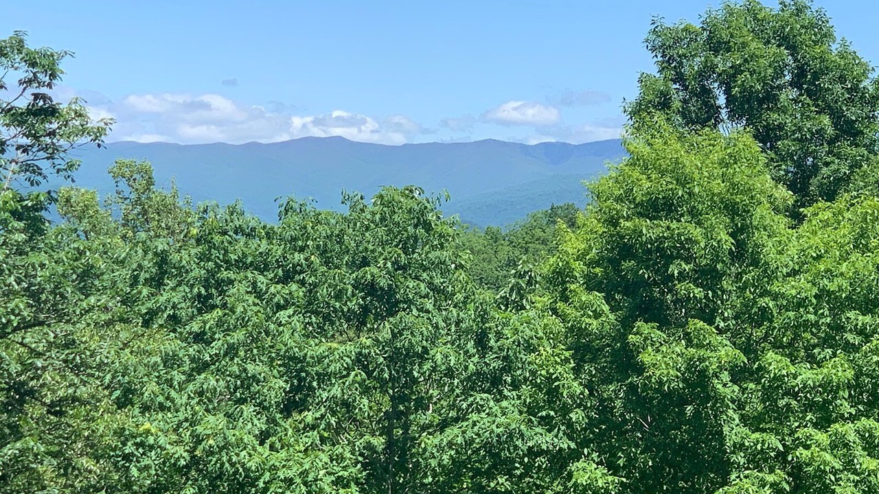 Photo of Others in Bryson City