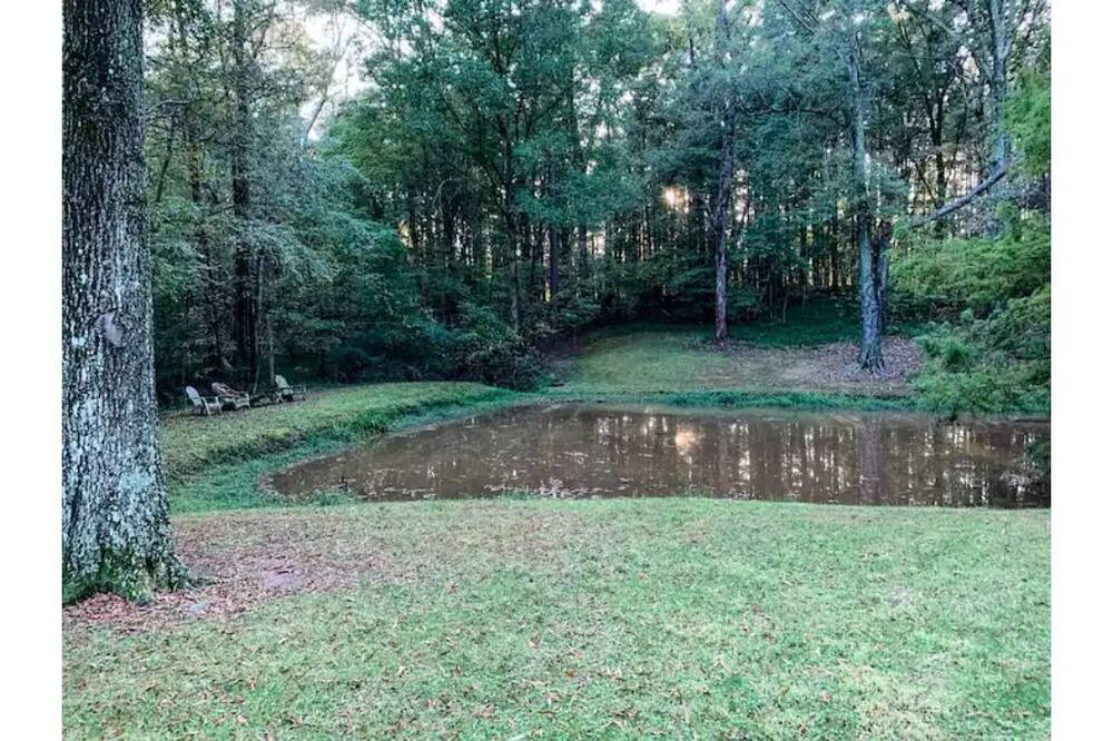 Photo of Outdoor in Matthews