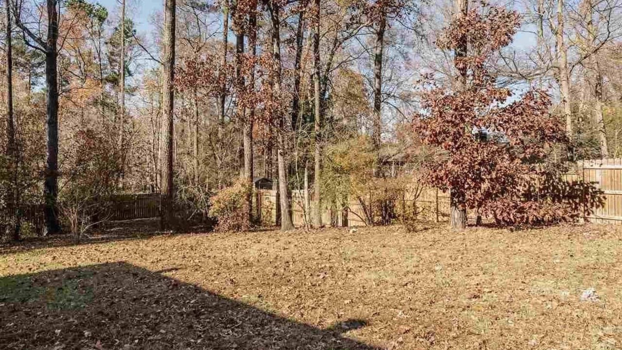 Photo of Outdoor in Northeast Raleigh