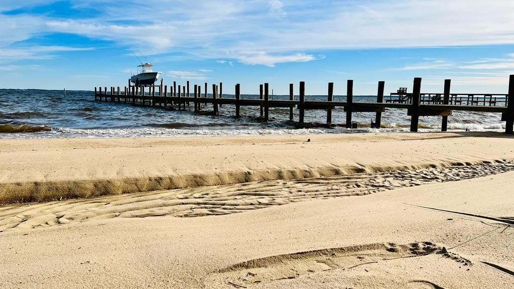 Photo of Others in Minnesott Beach