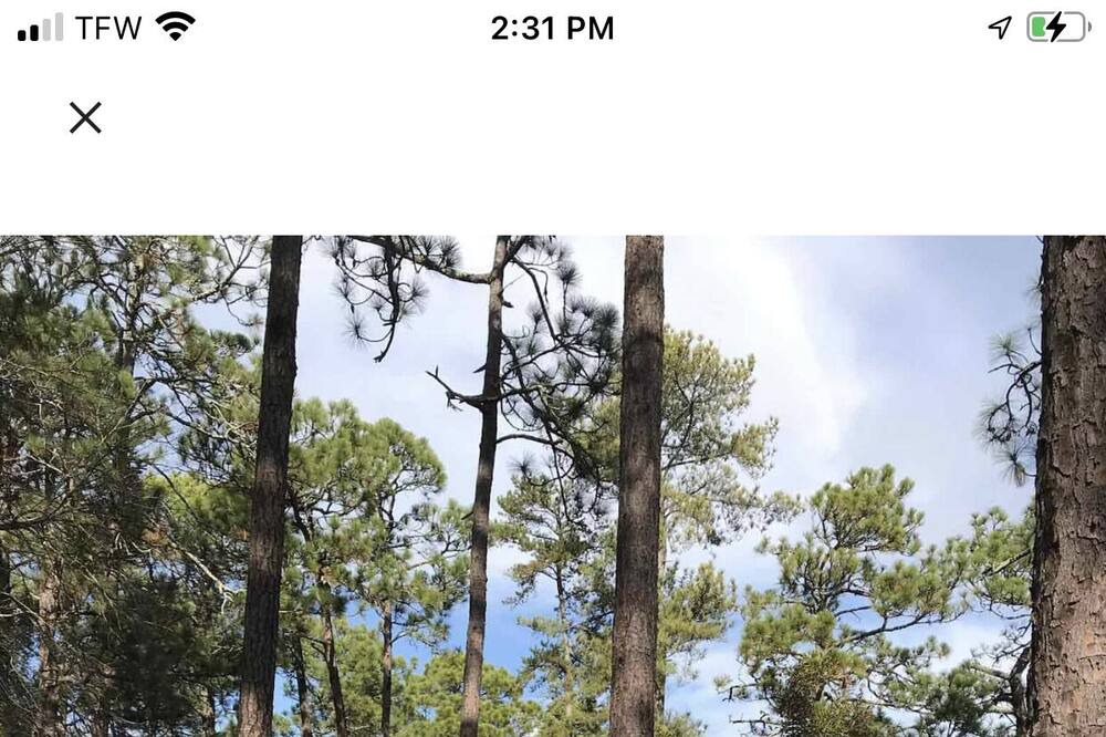 Photo of Others in Pinehurst