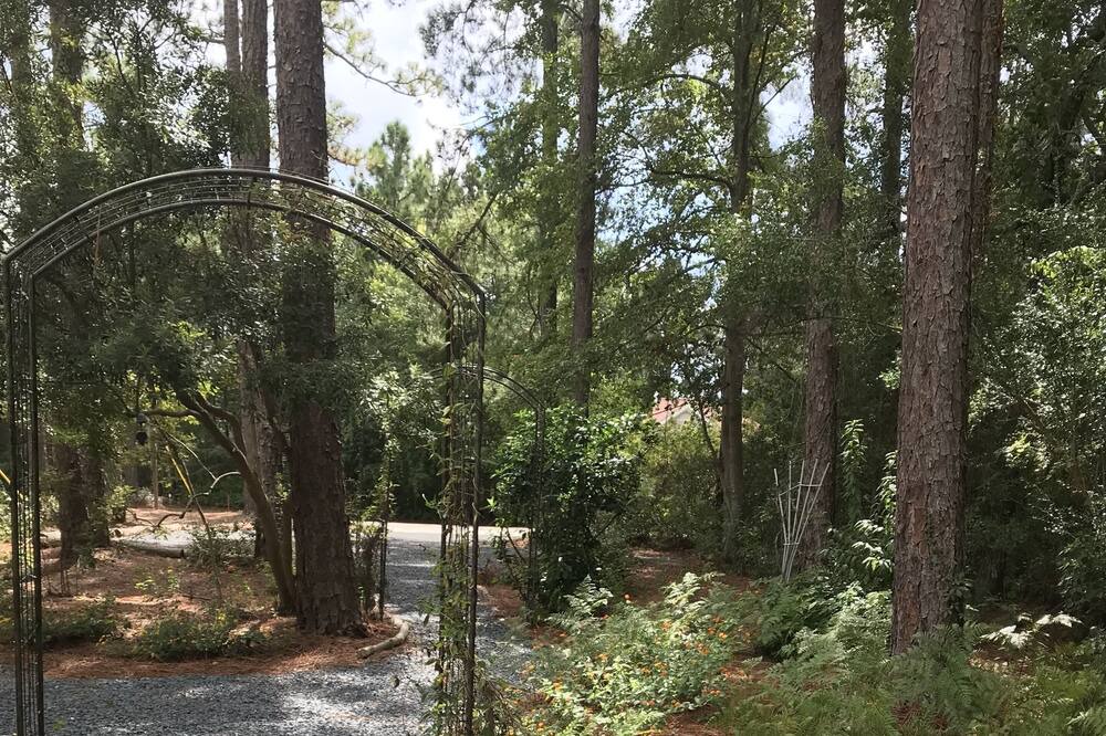 Photo of Outdoor in Pinehurst