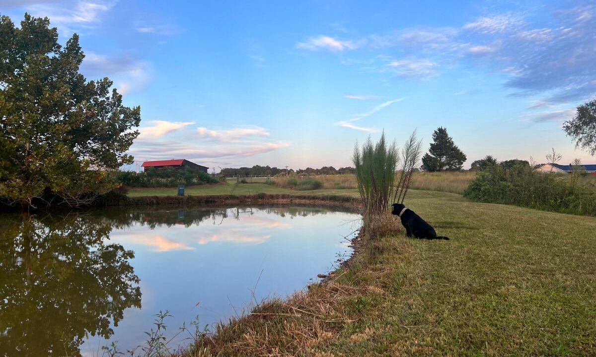 Photo of Outdoor in Hohenwald