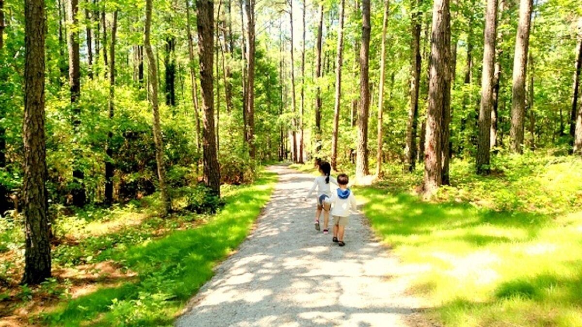 Photo of Outdoor in Minnesott Beach